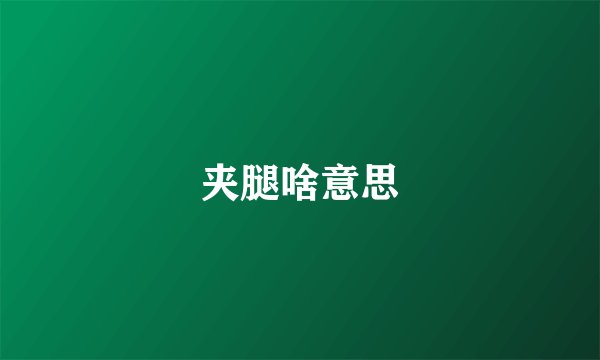 夹腿啥意思