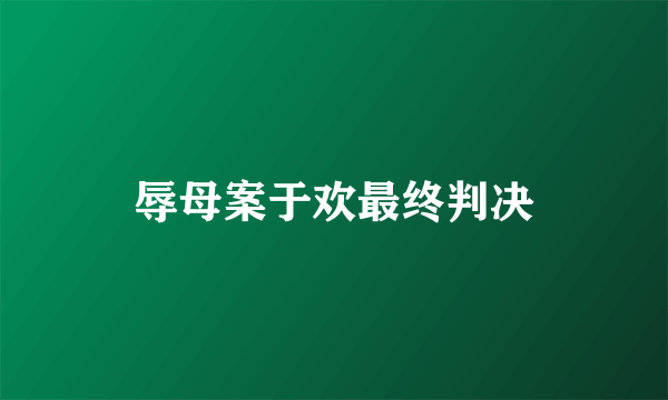 辱母案于欢最终判决