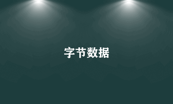 字节数据