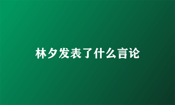 林夕发表了什么言论