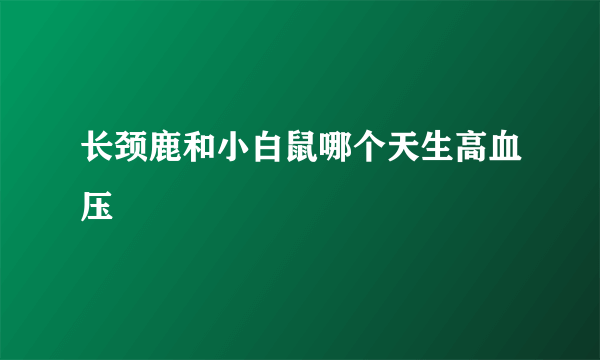 长颈鹿和小白鼠哪个天生高血压