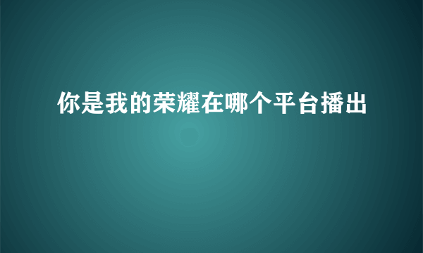 你是我的荣耀在哪个平台播出