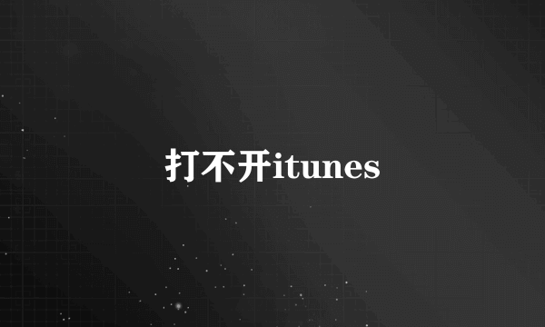 打不开itunes