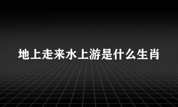 地上走来水上游是什么生肖