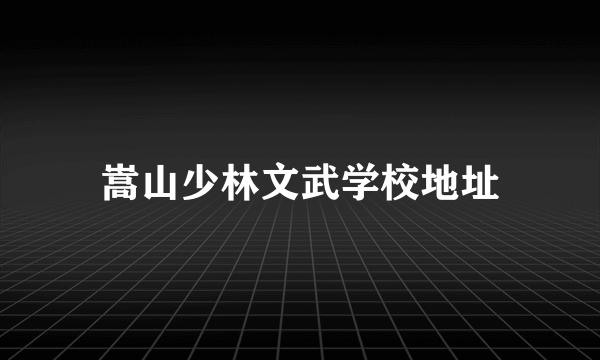 嵩山少林文武学校地址