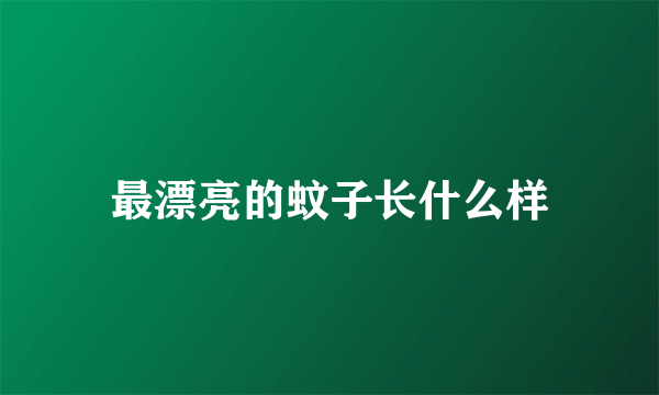 最漂亮的蚊子长什么样