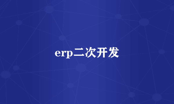 erp二次开发