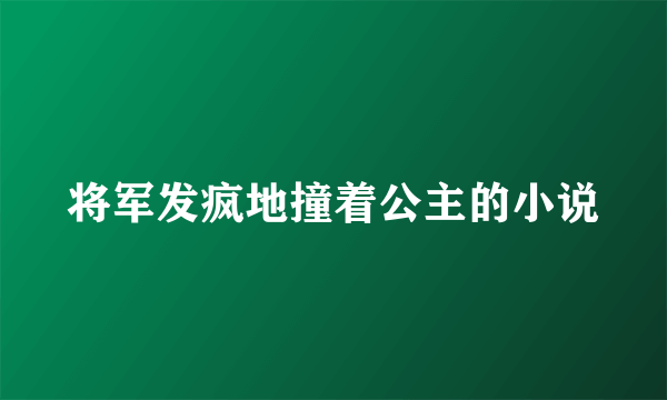 将军发疯地撞着公主的小说