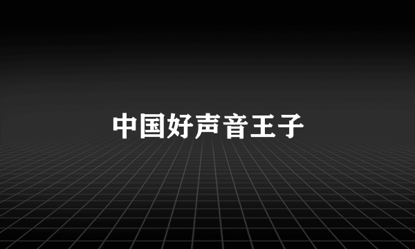 中国好声音王子