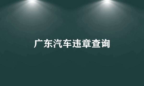 广东汽车违章查询