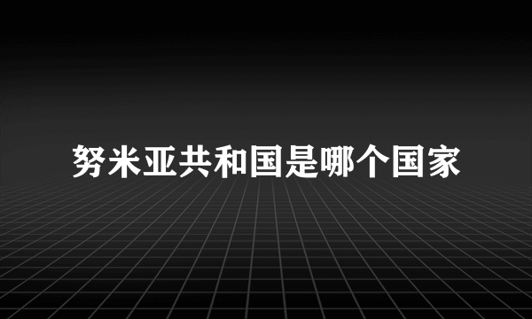 努米亚共和国是哪个国家