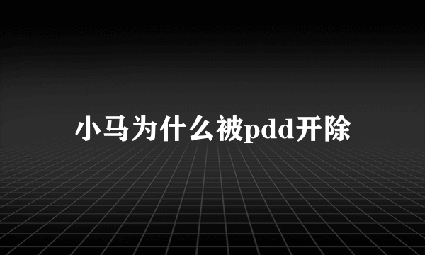 小马为什么被pdd开除