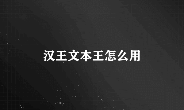 汉王文本王怎么用