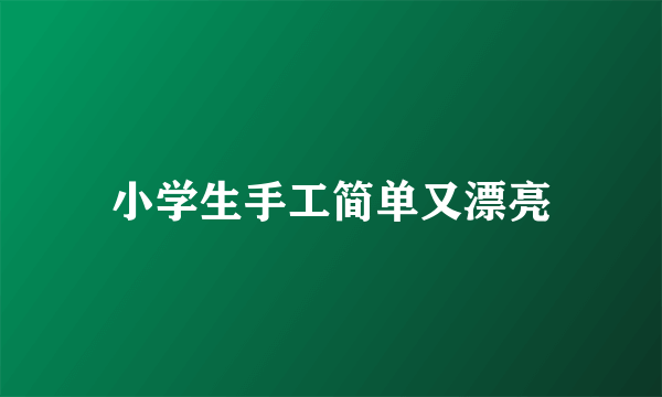 小学生手工简单又漂亮