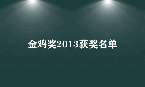 金鸡奖2013获奖名单