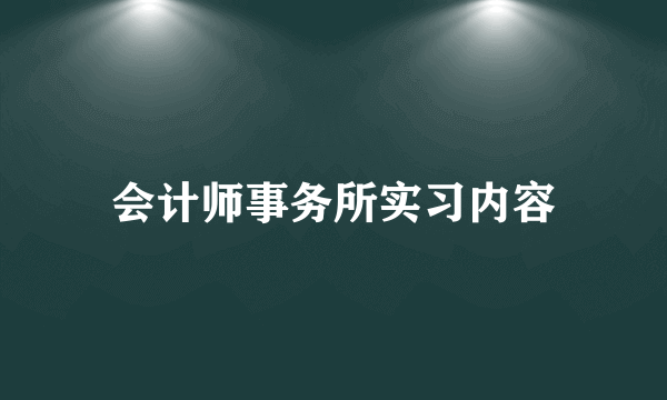 会计师事务所实习内容