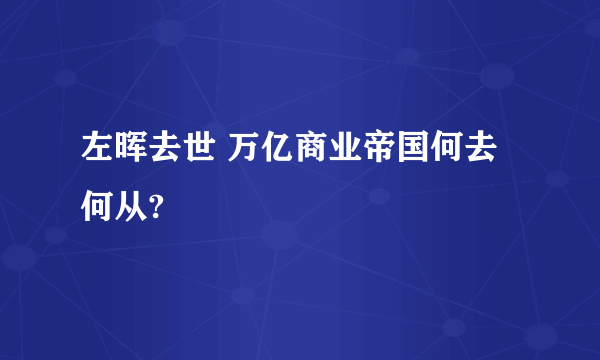 左晖去世 万亿商业帝国何去何从?