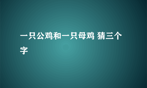 一只公鸡和一只母鸡 猜三个字