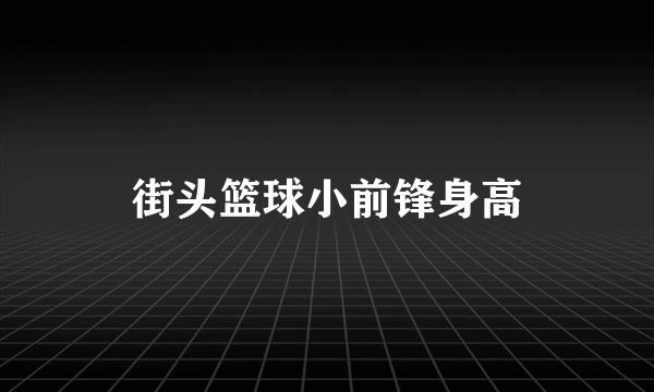 街头篮球小前锋身高