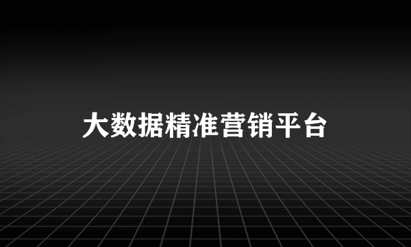 大数据精准营销平台