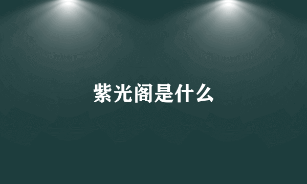 紫光阁是什么