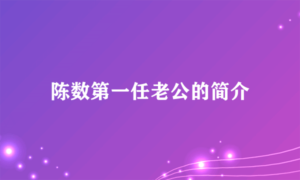 陈数第一任老公的简介