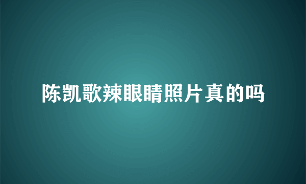 陈凯歌辣眼睛照片真的吗