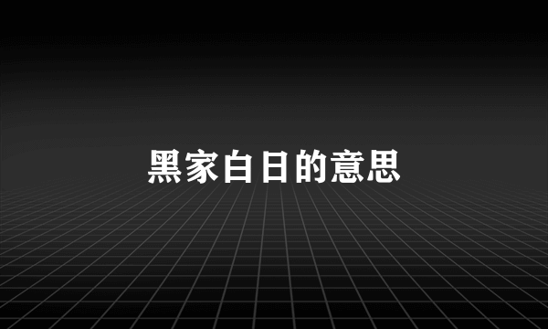 黑家白日的意思