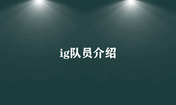 ig队员介绍