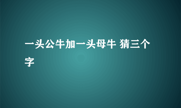 一头公牛加一头母牛 猜三个字