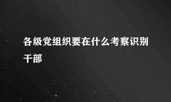 各级党组织要在什么考察识别干部