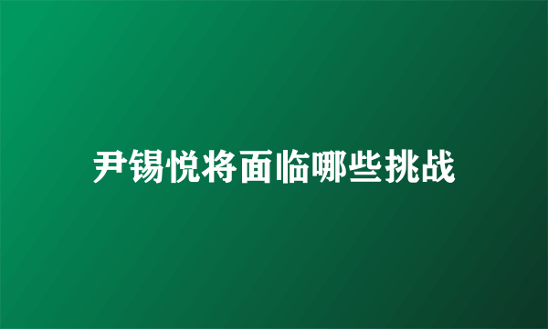 尹锡悦将面临哪些挑战