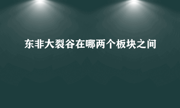 东非大裂谷在哪两个板块之间