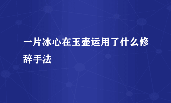 一片冰心在玉壶运用了什么修辞手法