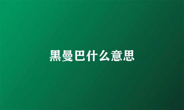 黑曼巴什么意思