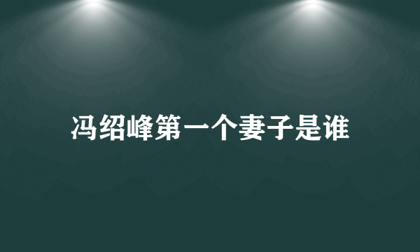 冯绍峰第一个妻子是谁