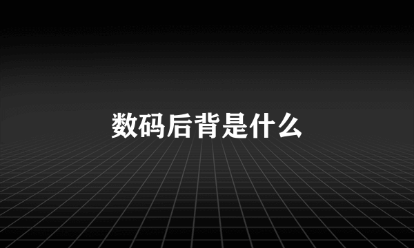 数码后背是什么