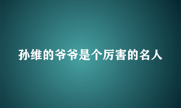 孙维的爷爷是个厉害的名人