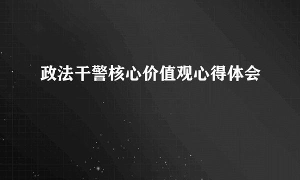 政法干警核心价值观心得体会