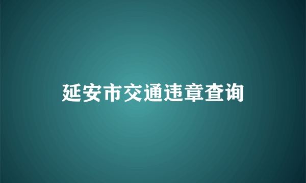 延安市交通违章查询