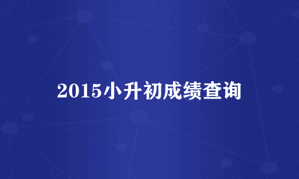 2015小升初成绩查询