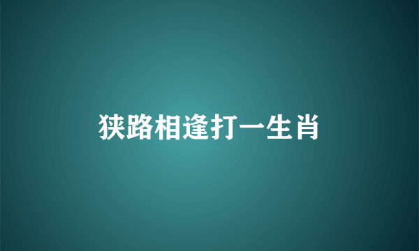 狭路相逢打一生肖