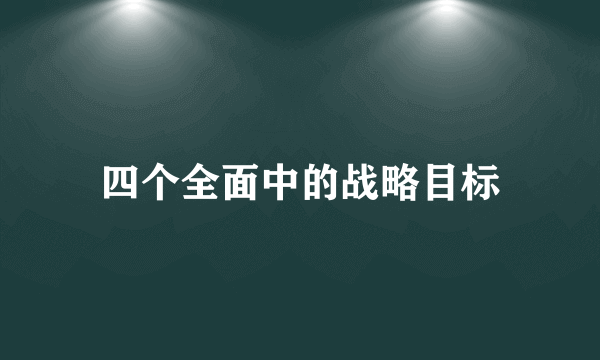 四个全面中的战略目标