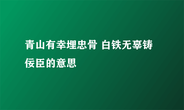 青山有幸埋忠骨 白铁无辜铸佞臣的意思