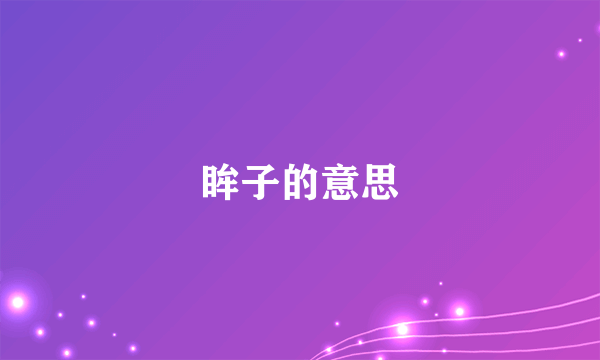 眸子的意思