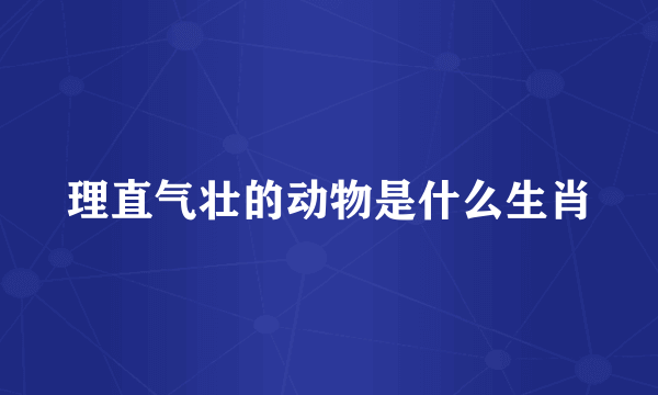 理直气壮的动物是什么生肖