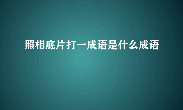 照相底片打一成语是什么成语