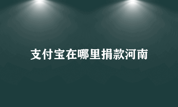 支付宝在哪里捐款河南