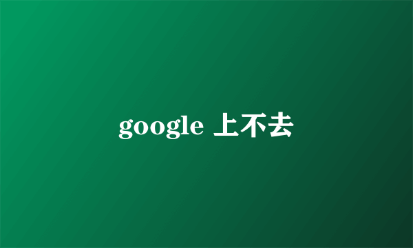 google 上不去