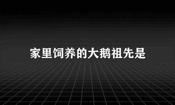 家里饲养的大鹅祖先是